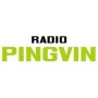 Radio Pingvin Radio Pingvin